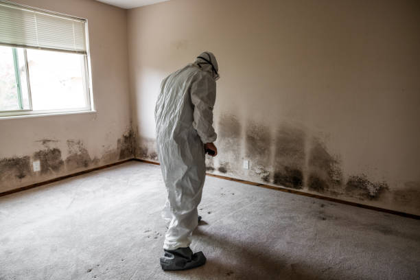 Best Mold Removal for HVAC Installations  in Mountainhome, PA