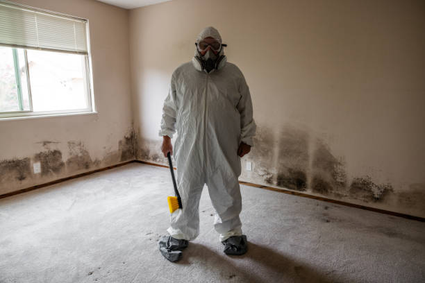 Best Commercial Mold Inspection  in Mountainhome, PA